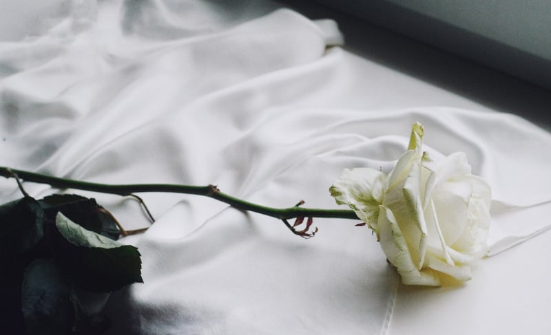 Wedding Beauty Services